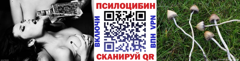 Псилоцибиновые грибы GOLDEN TEACHER  Бокситогорск 